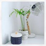Apartment Le Cour Des Anglais, Hyper Centre, Marche La Rochelle (Charente-Maritime)