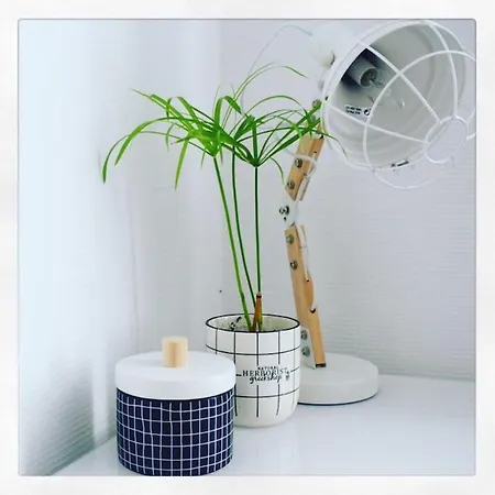 Lägenhet Le Cour Des Anglais, Hyper Centre, Marche La Rochelle (Charente-Maritime)