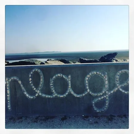 Le Cour Des Anglais, Hyper Centre, Marche *